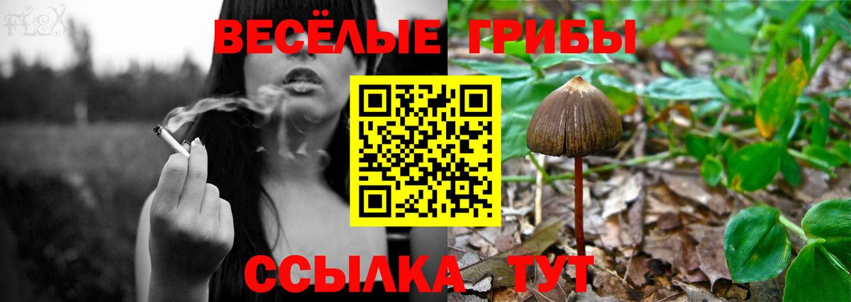 Псилоцибиновые грибы MAGIC MUSHROOMS Киржач